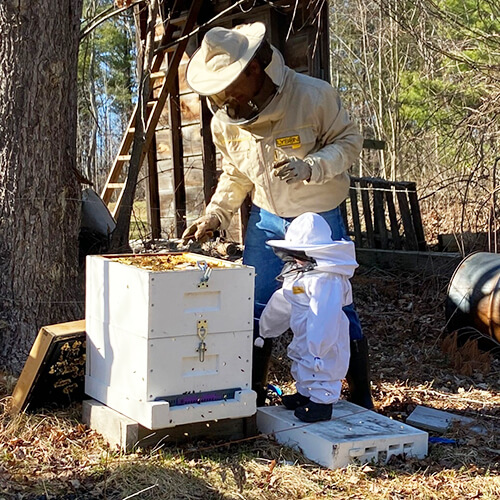 A man works on his Lyson beehive with his young daughter, both wearing bee suits